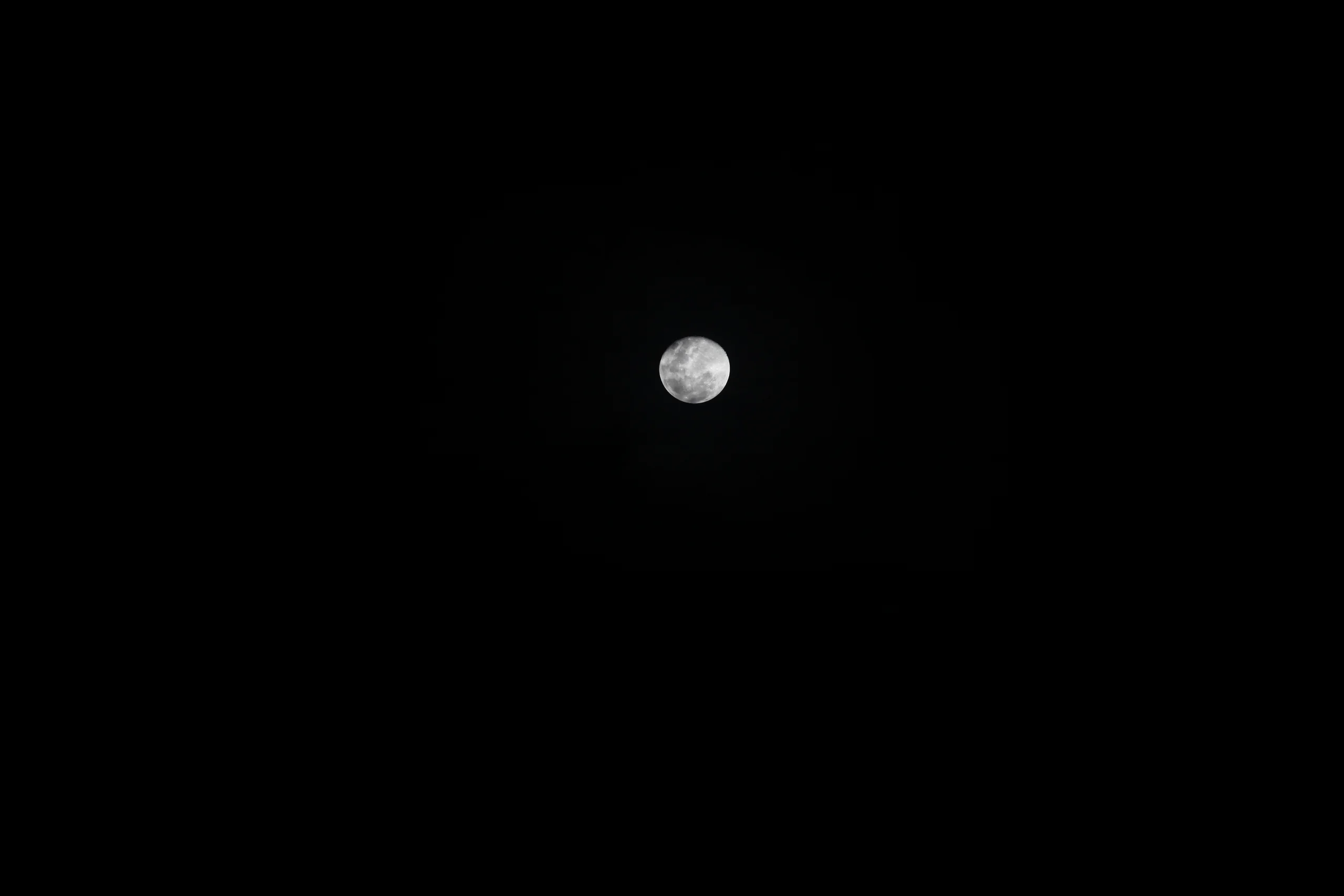 Cover photograph of MoonHunt